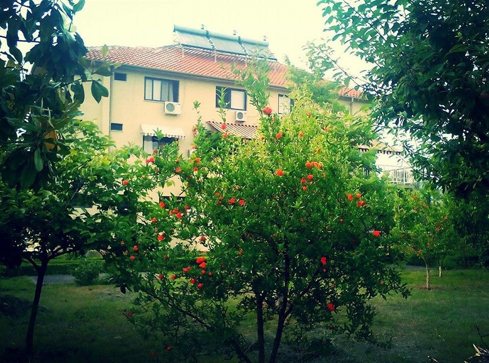 Hotel Viktoria Tiranë Luaran gambar